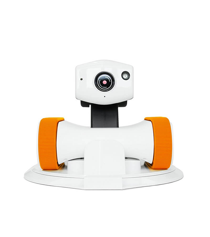 iPATROL RILEY - WiFi Enabled  Mobilized Home Monitoring Robot